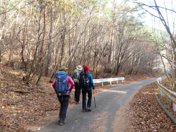 日本二百名山　茅ｹ岳 (1,704.0M)    下山 編_d0170615_22575096.jpg