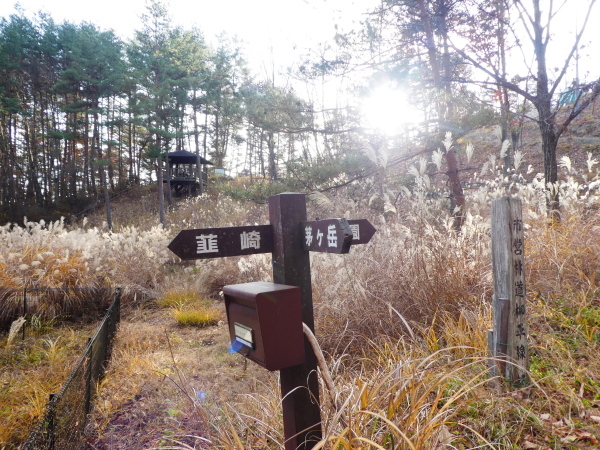 日本二百名山　茅ｹ岳 (1,704.0M)    下山 編_d0170615_22580477.jpg