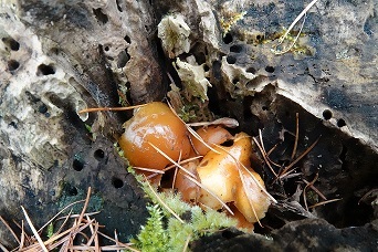 f0360815_15014126.jpg