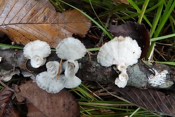 f0360815_15014146.jpg