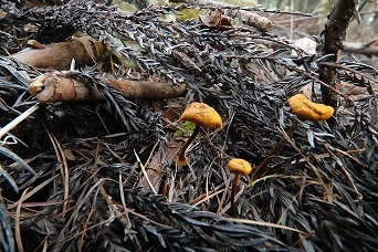 f0360815_15014296.jpg