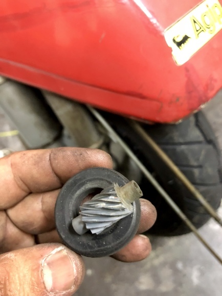 e0165019_22191711.jpeg