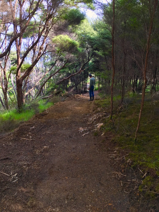 e0310424_07114106.jpg