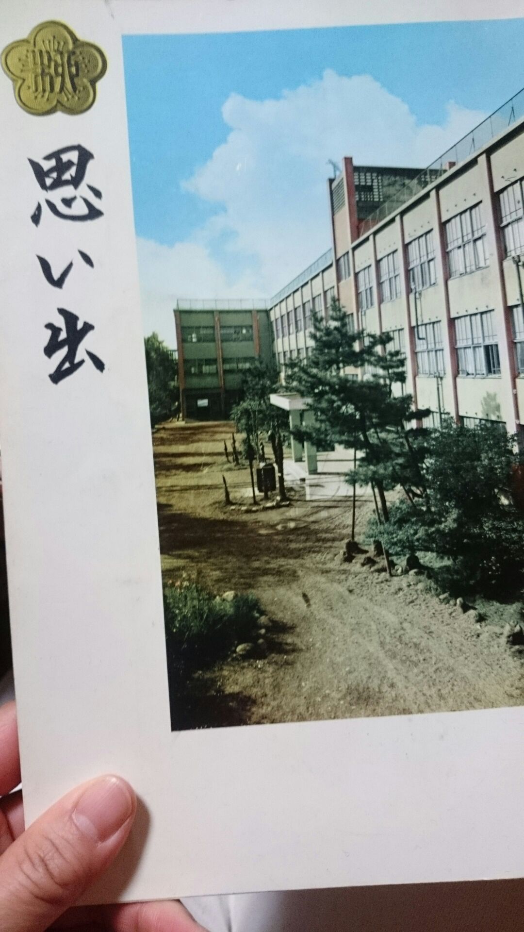 38年ぶり_d0180229_18401214.jpg
