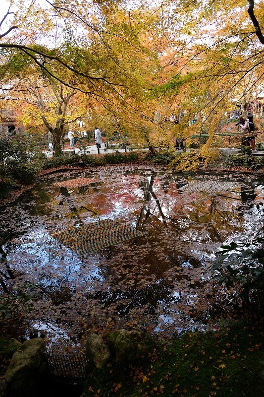 夢見る頃は過ぎても_e0374932_06323443.jpg