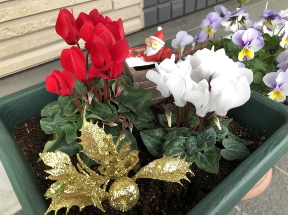 b0164533_23224257.jpeg