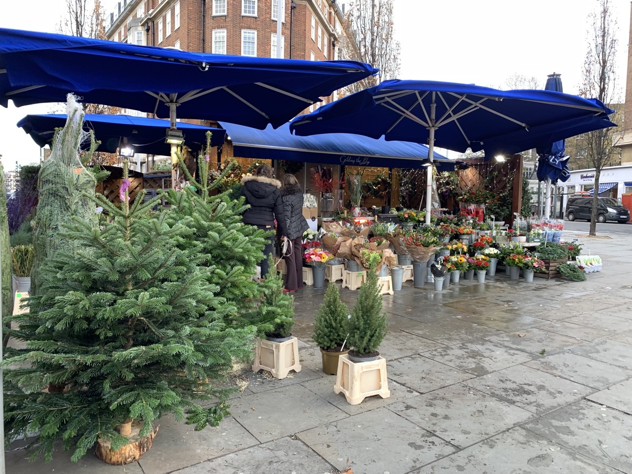 クリスマスツリーとエッグタルト・ロンドンのサウスケンジントン_f0380234_04581406.jpg