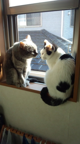 c0342535_15091258.jpeg