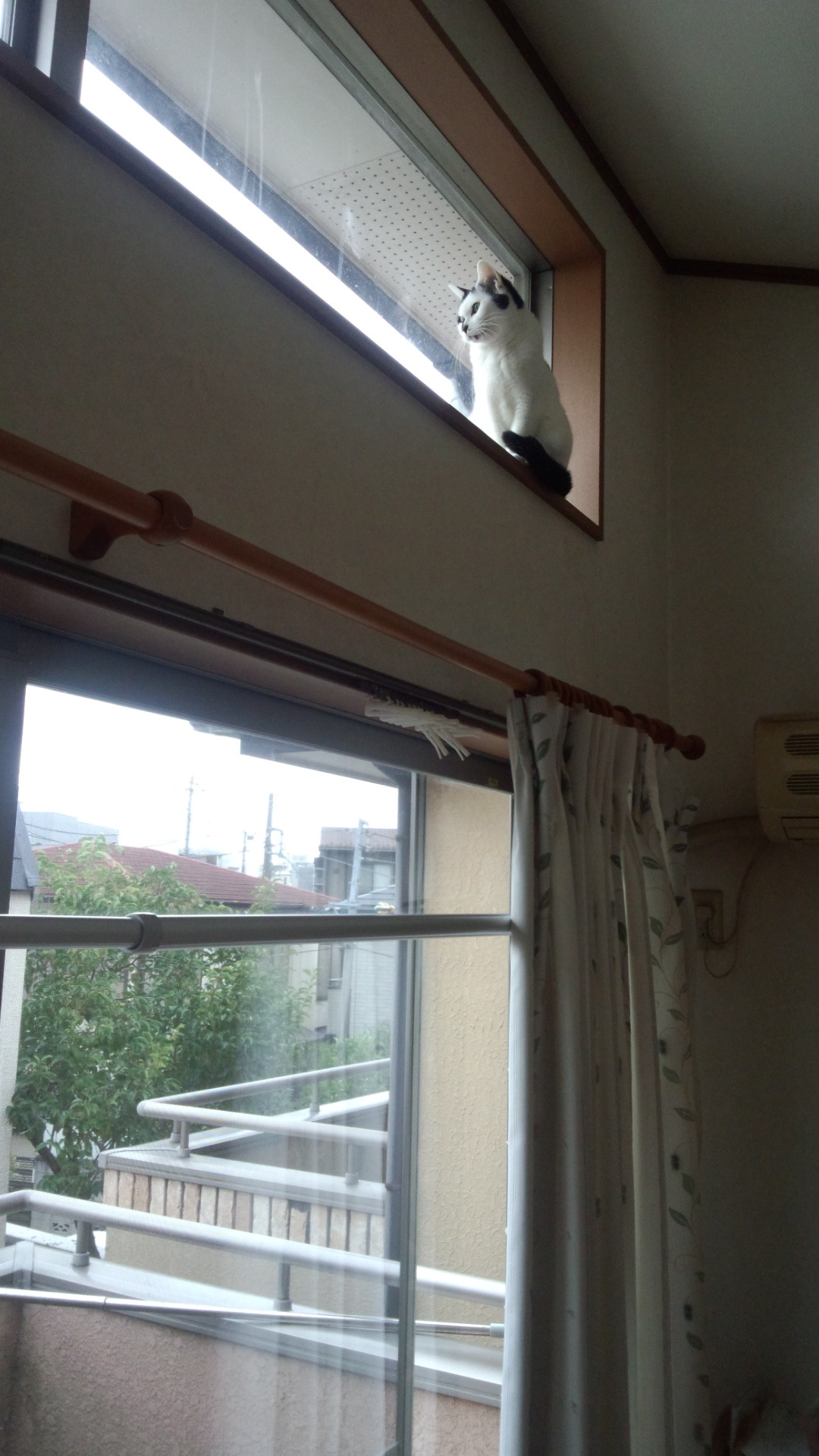 c0342535_15091535.jpeg