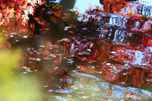 a0242438_21285062.jpg