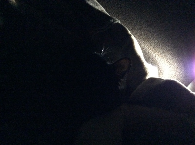 b0134838_12491121.jpeg