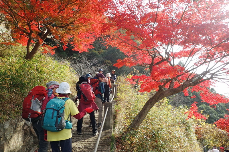 紅葉に染まる散策路 布引~修法ヶ原~大師道_c0218841_11303061.jpg