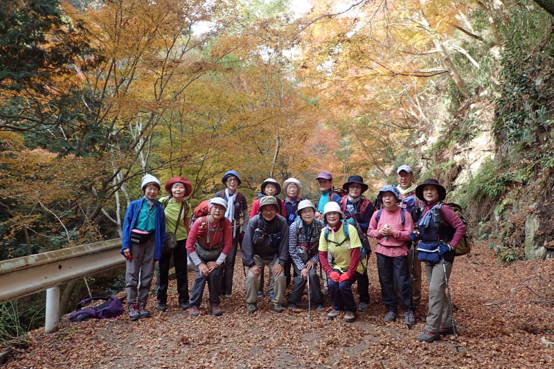 紅葉に染まる散策路 布引~修法ヶ原~大師道_c0218841_11310116.jpg