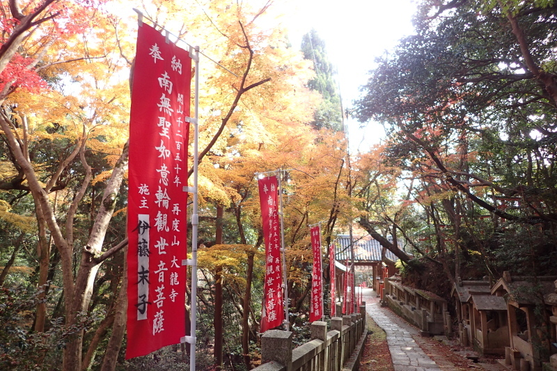 紅葉に染まる散策路 布引~修法ヶ原~大師道_c0218841_11330357.jpg
