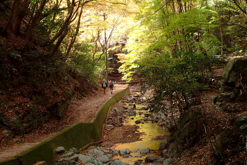 紅葉に染まる散策路 布引~修法ヶ原~大師道_c0218841_11334933.jpg