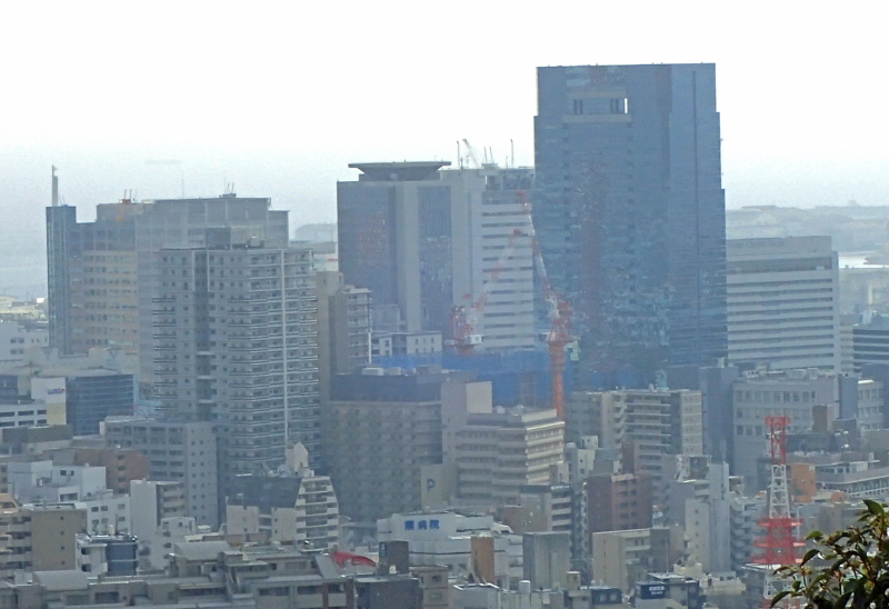 紅葉に染まる散策路 布引~修法ヶ原~大師道_c0218841_11342719.jpg