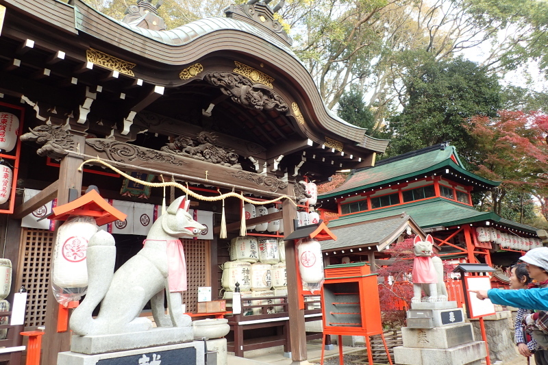 紅葉に染まる散策路 布引~修法ヶ原~大師道_c0218841_11344987.jpg