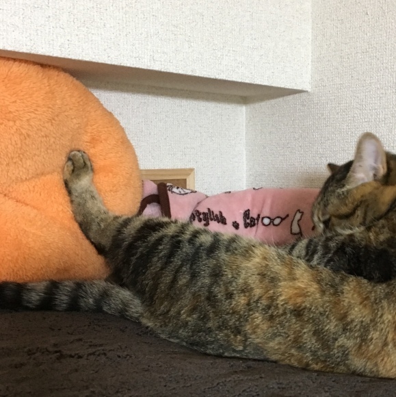 f0372445_21372891.jpeg