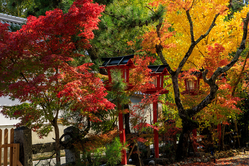 京の紅葉2018　彩りの鍬山神社_f0155048_2324791.jpg