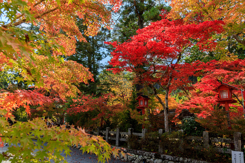 京の紅葉2018　彩りの鍬山神社_f0155048_2331395.jpg