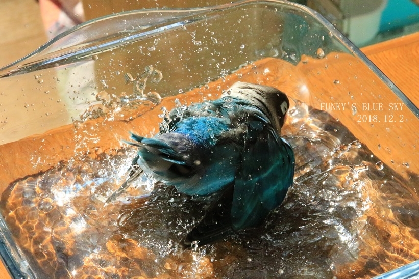 c0145250_08553011.jpg
