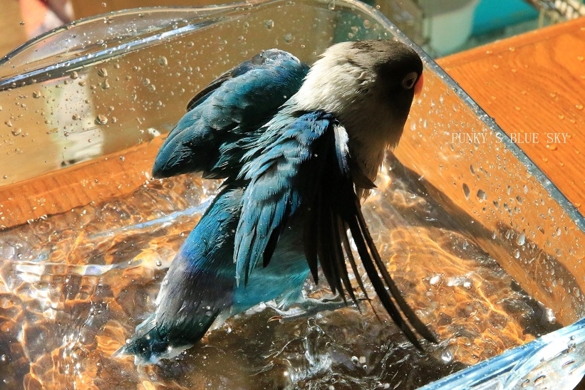 c0145250_08554935.jpg