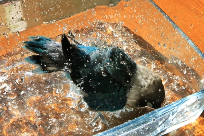 c0145250_08560009.jpg