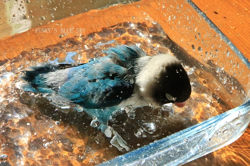 c0145250_08560548.jpg