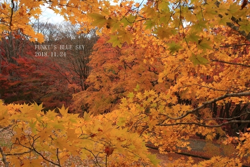 c0145250_09092244.jpg