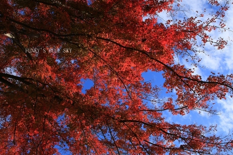 c0145250_09095322.jpg
