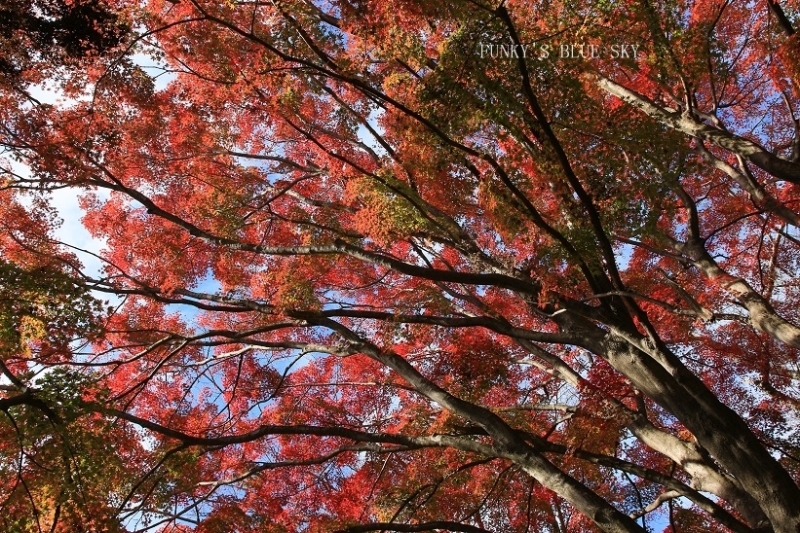 c0145250_09095622.jpg