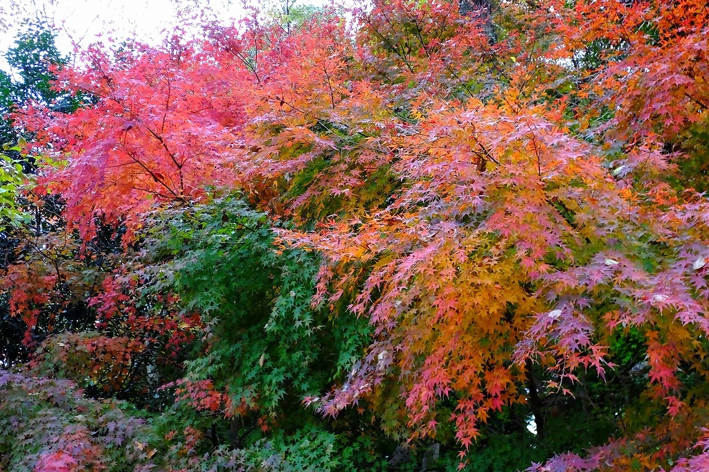 b0236251_11081153.jpg