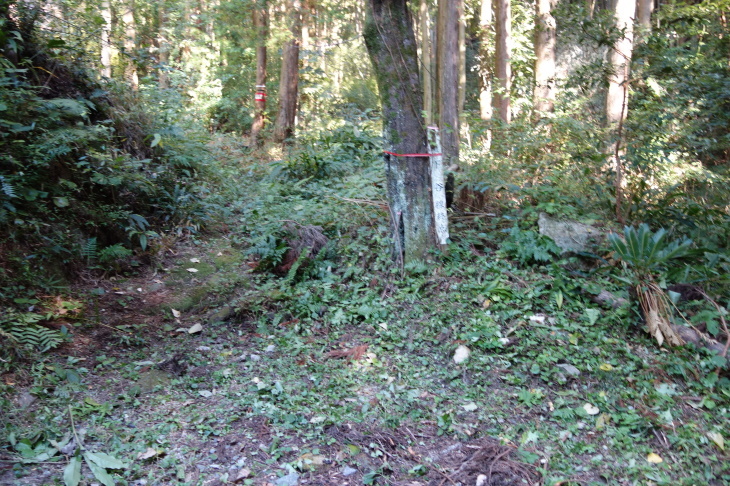 d0345153_21162935.jpg