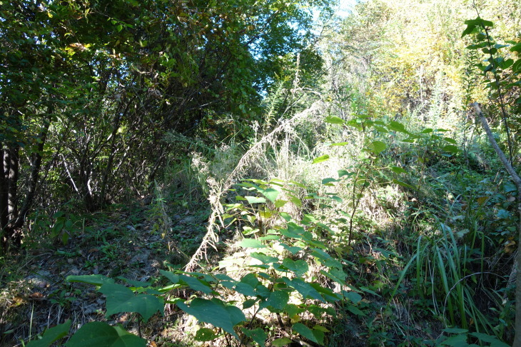 d0345153_21173771.jpg