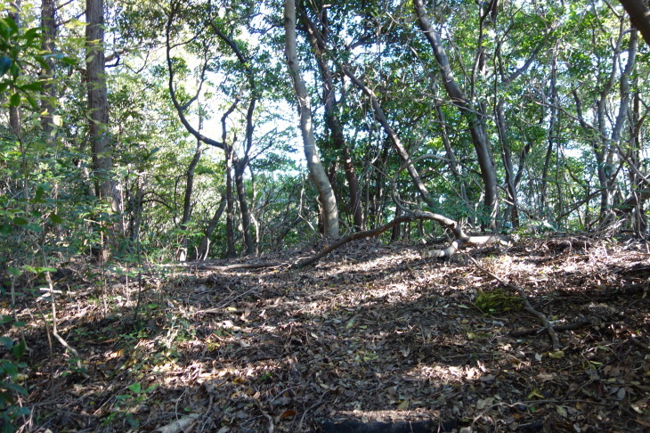 d0345153_21180193.jpg