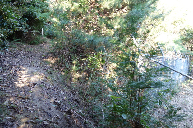 d0345153_21180930.jpg