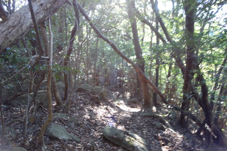 d0345153_21184172.jpg