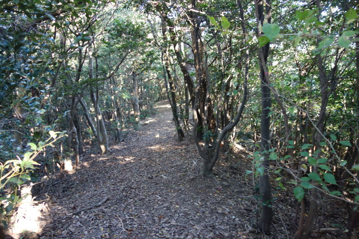 d0345153_21195559.jpg
