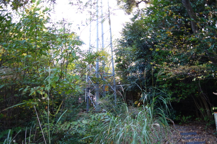d0345153_21215521.jpg