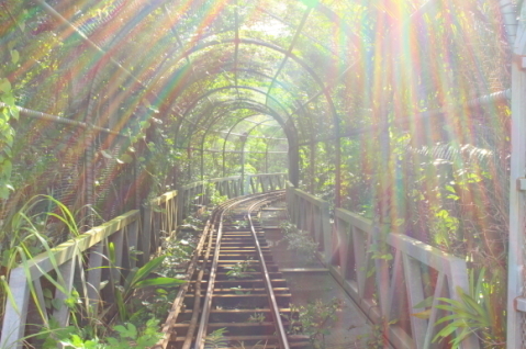 f0367954_11402951.jpg