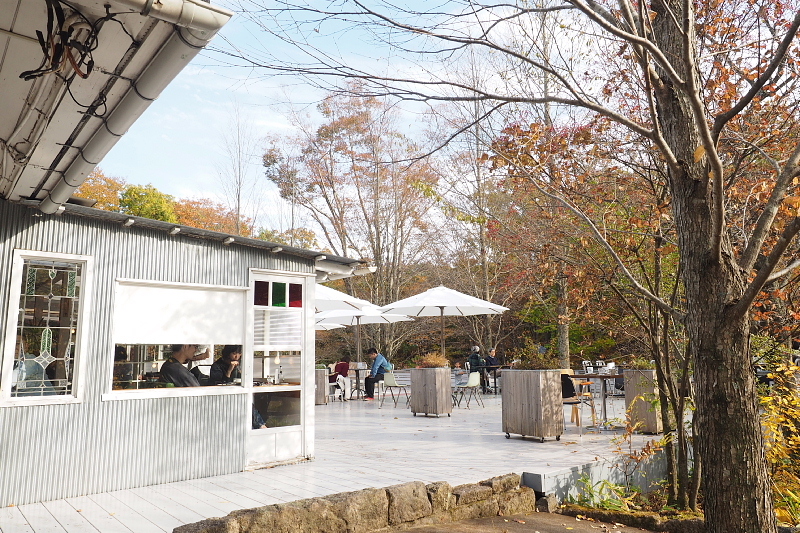 【木漏れ日の】 NASU SHOZO CAFE （ショウゾウカフェ＠那須）_b0008655_19521617.jpg