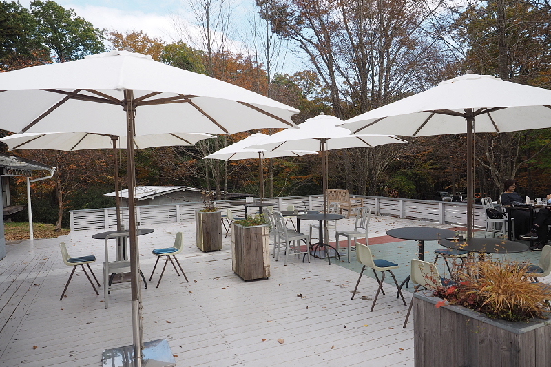 【木漏れ日の】 NASU SHOZO CAFE （ショウゾウカフェ＠那須）_b0008655_20180282.jpg