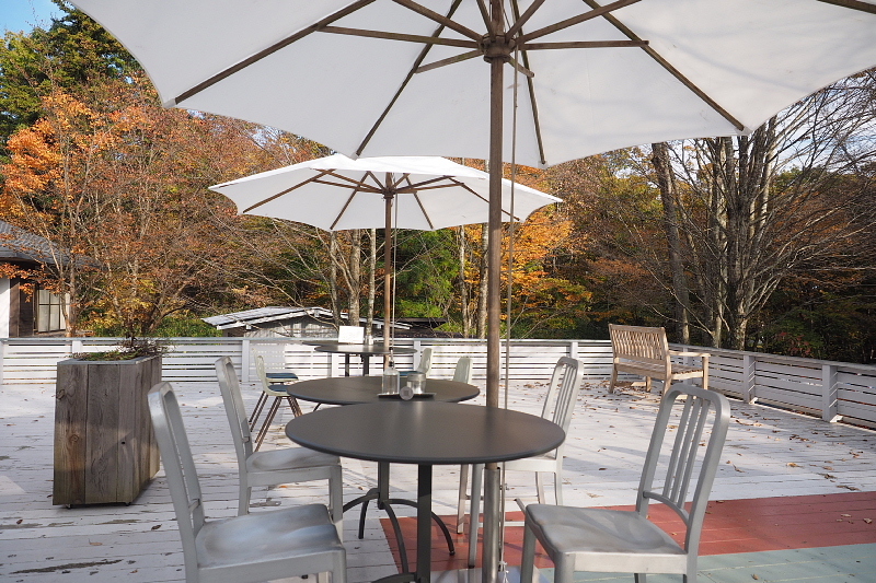 【木漏れ日の】 NASU SHOZO CAFE （ショウゾウカフェ＠那須）_b0008655_20252372.jpg