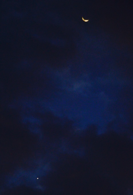 a0248459_16034590.jpg