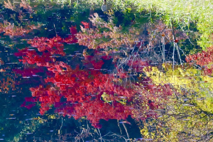 a0248459_16065395.jpg