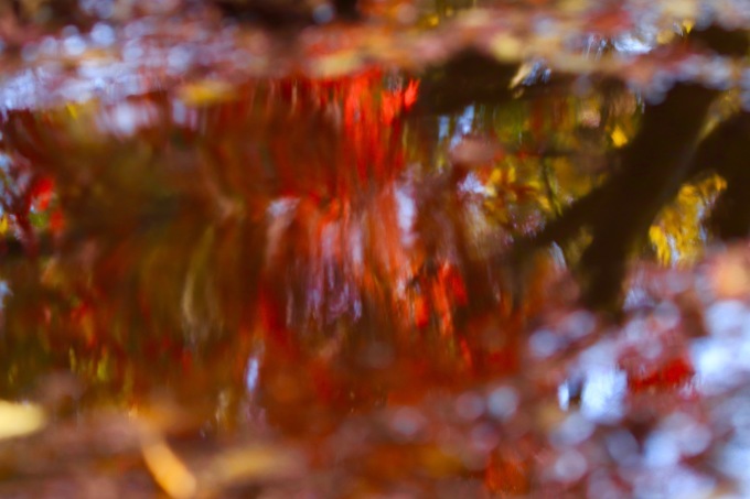 a0248459_16085172.jpg