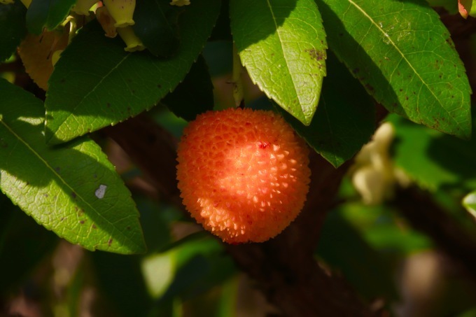 a0248459_16213585.jpg