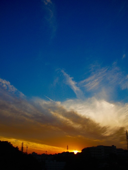 a0248459_16270394.jpg