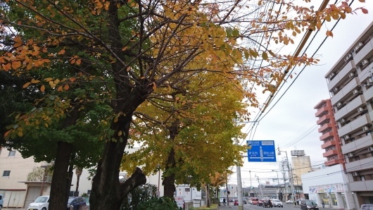b0352459_17222382.jpg