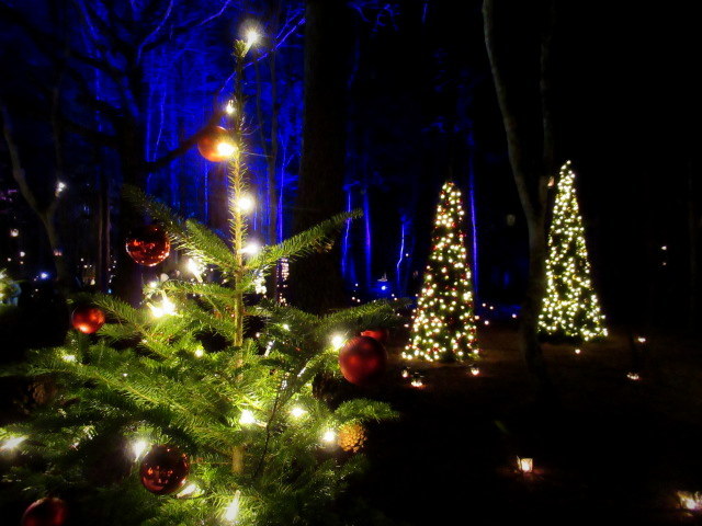 f0236260_02405980.jpg